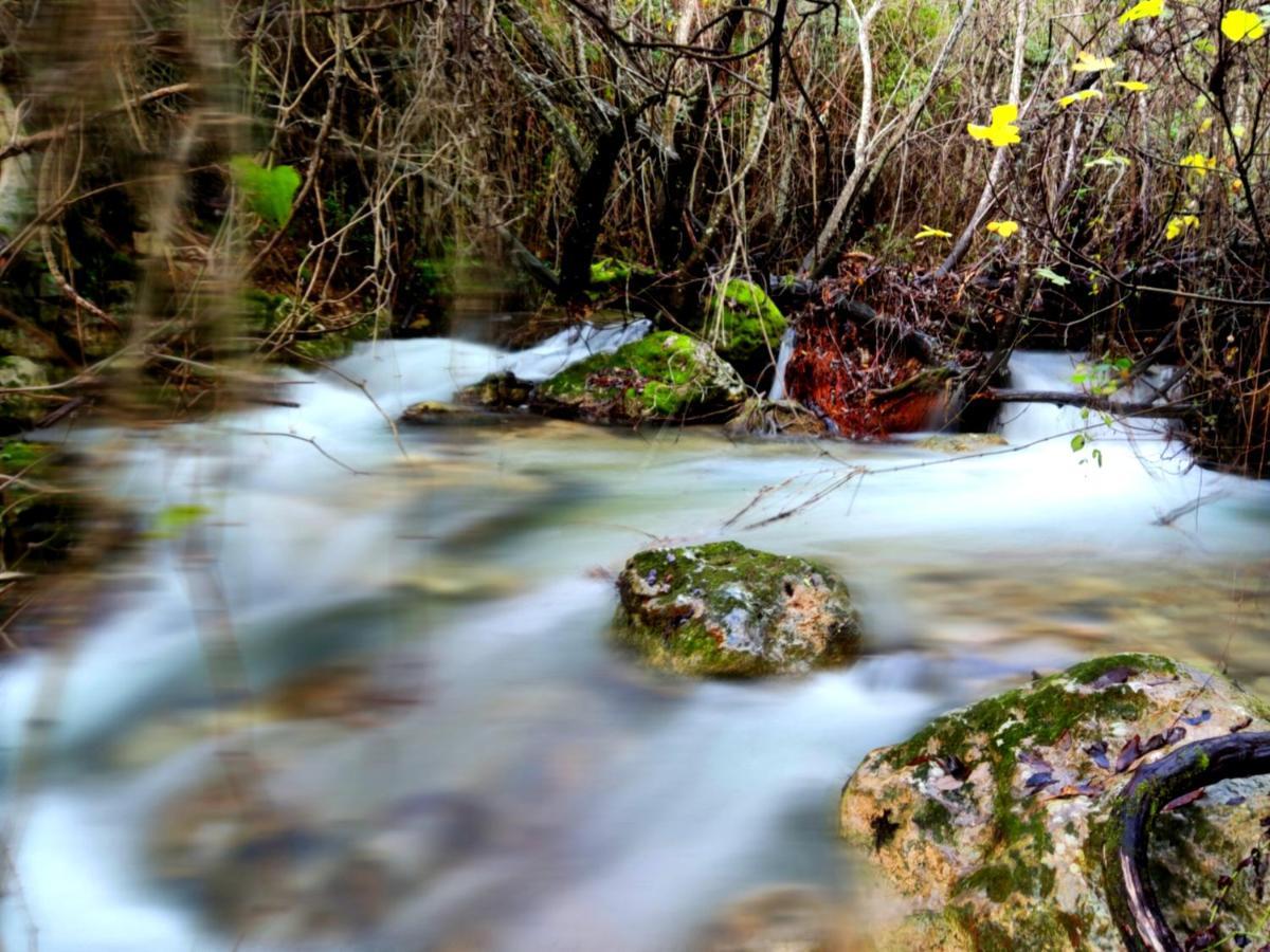 La Casa Del Naturalista El Bosque Kültér fotó