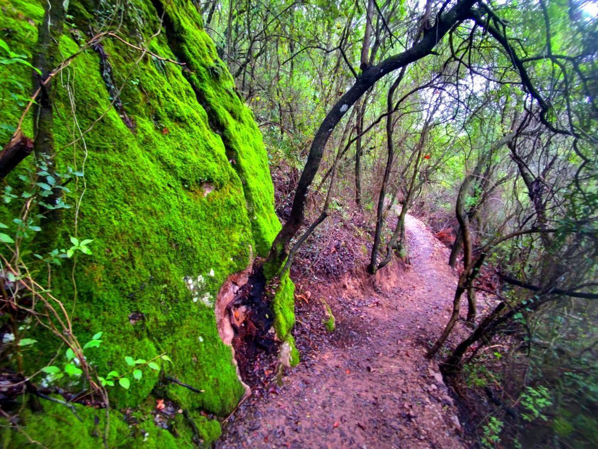 La Casa Del Naturalista El Bosque Kültér fotó