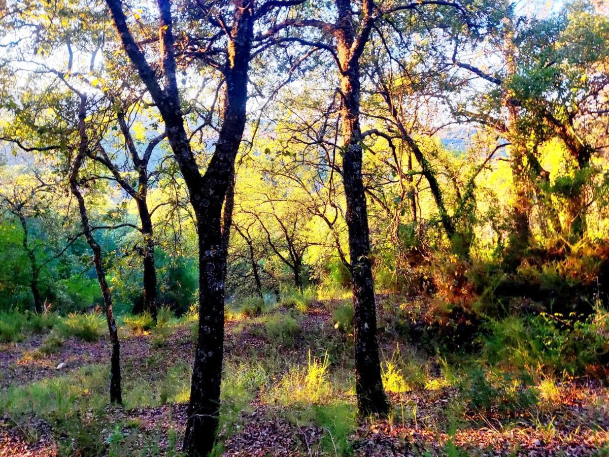 La Casa Del Naturalista El Bosque Kültér fotó