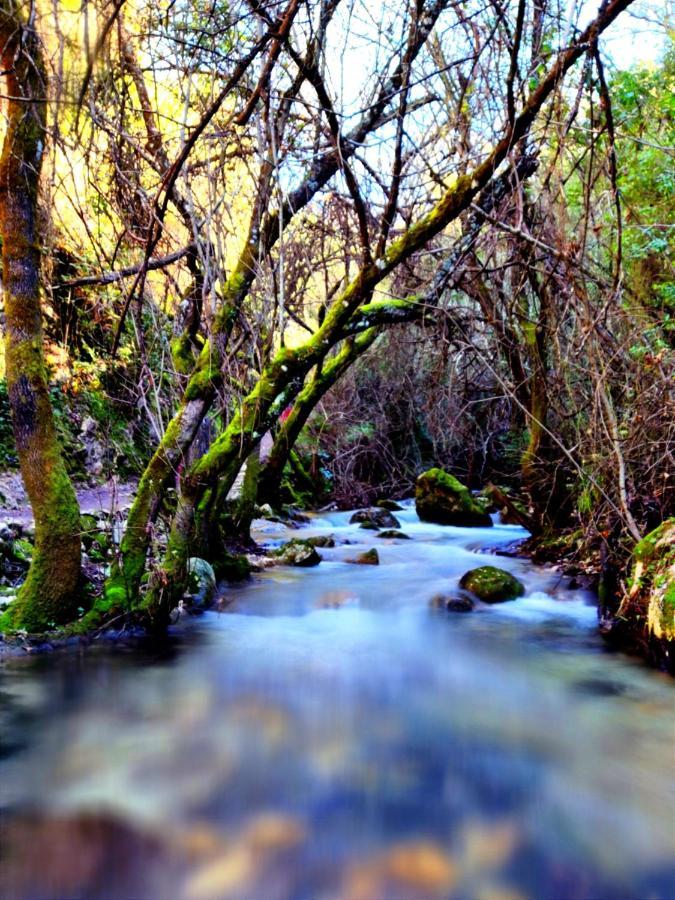 La Casa Del Naturalista El Bosque Kültér fotó