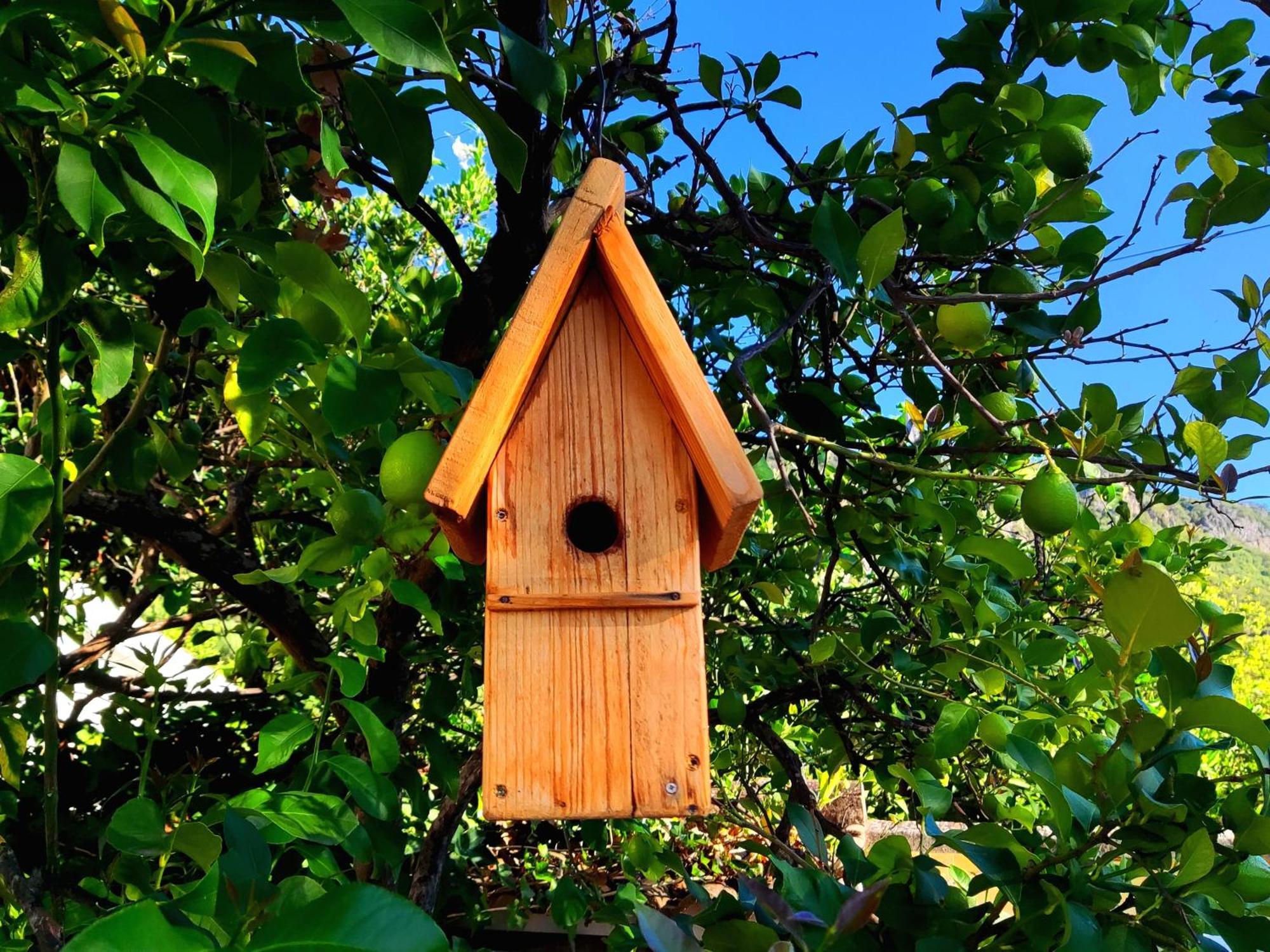 La Casa Del Naturalista El Bosque Kültér fotó